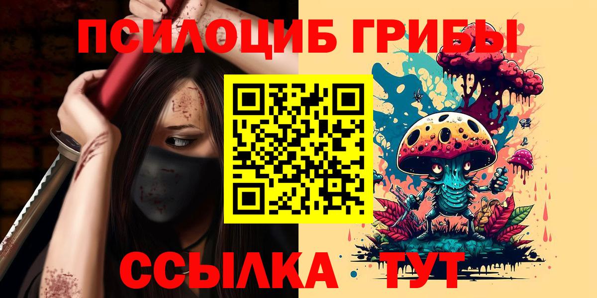 Тутаев  Галлюциногенные грибы MAGIC MUSHROOMS  Вход с VPN 